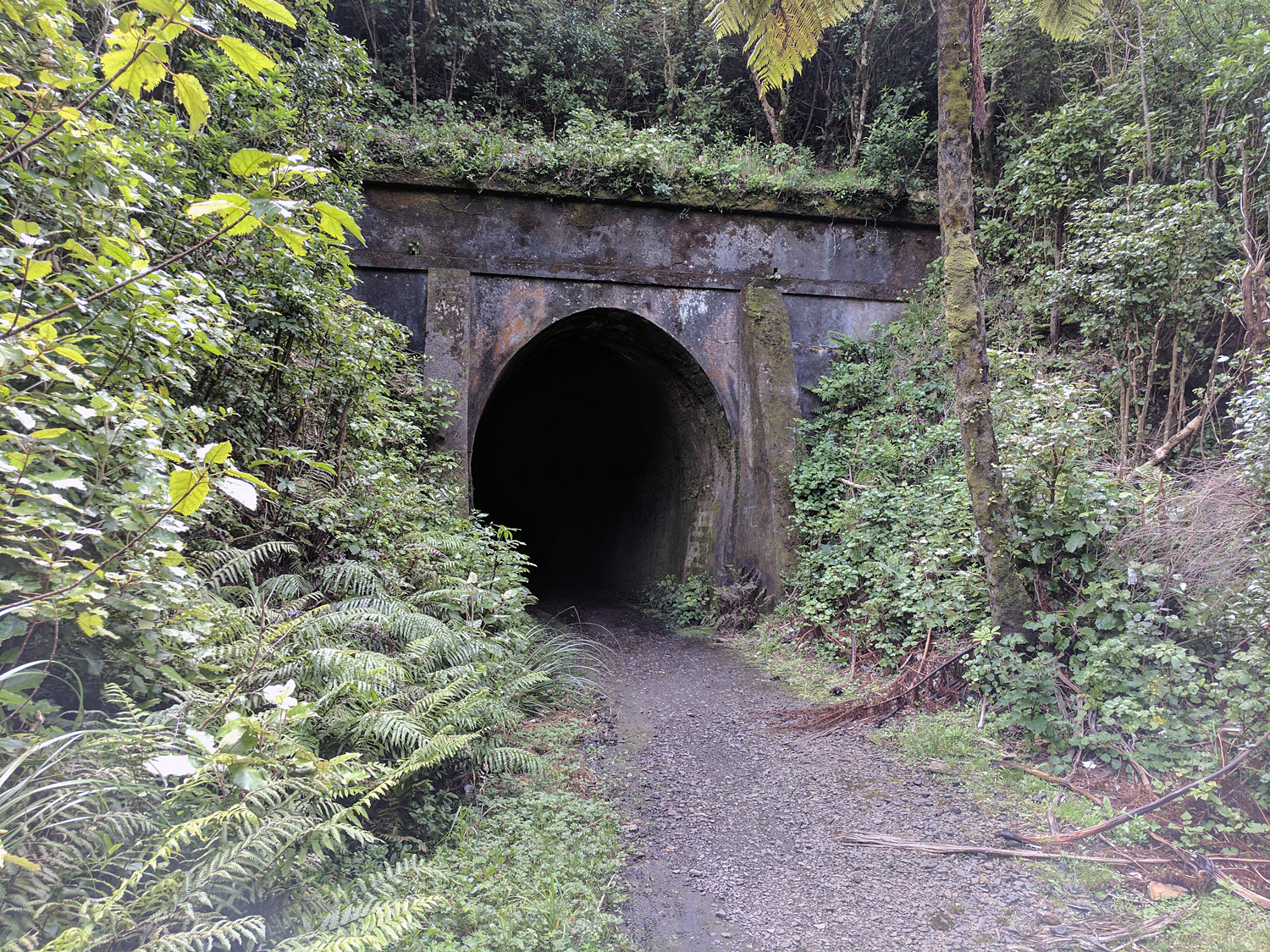 Rimutaka Rail Trail Tunnel